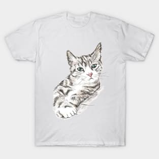 Cute Quizzical Kitten Contemplating Cat Carnage T-Shirt